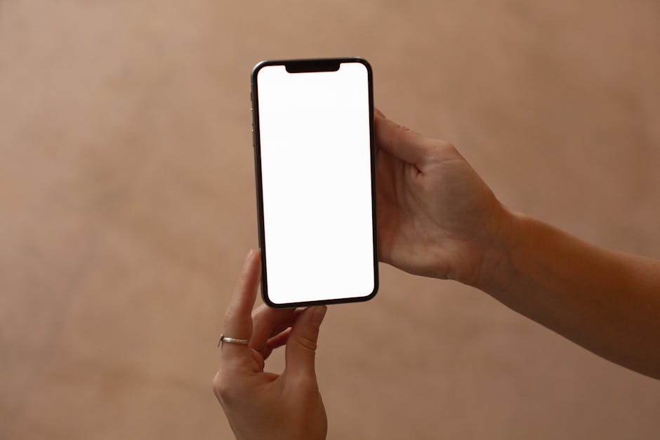 Курсы программирования и UI/UX дизайна