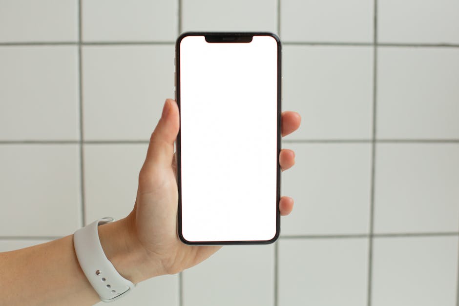 Курсы программирования и UI/UX дизайна